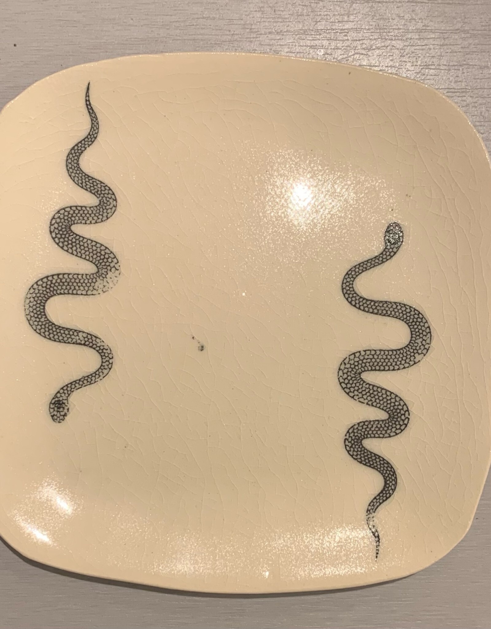 Rounded Square Dish | Snake | 5"