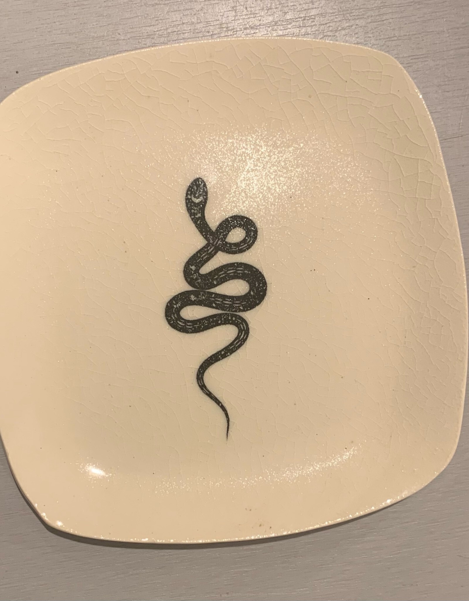 Rounded Square Dish | Snake | 5"