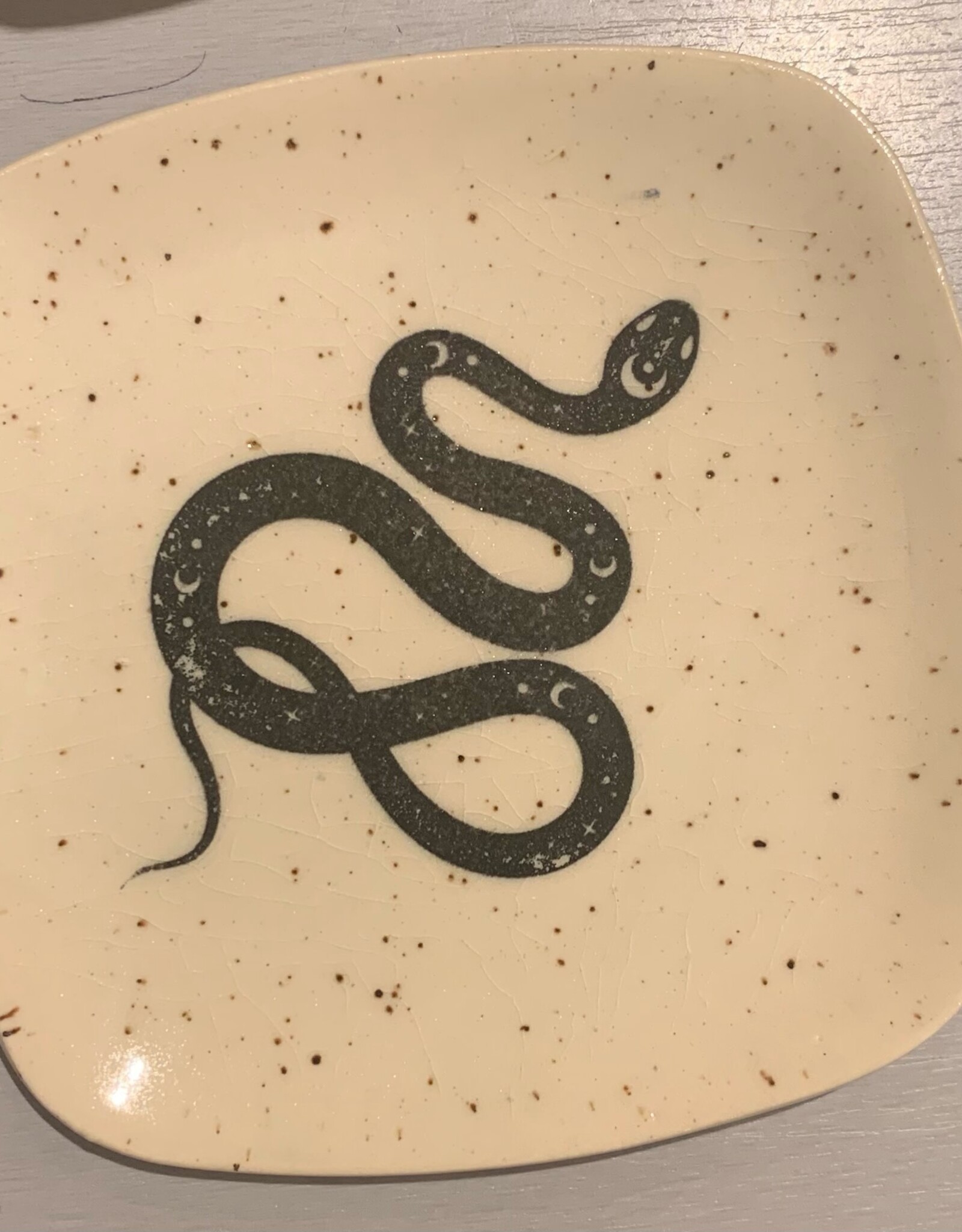Rounded Square Dish | Snake | 5"