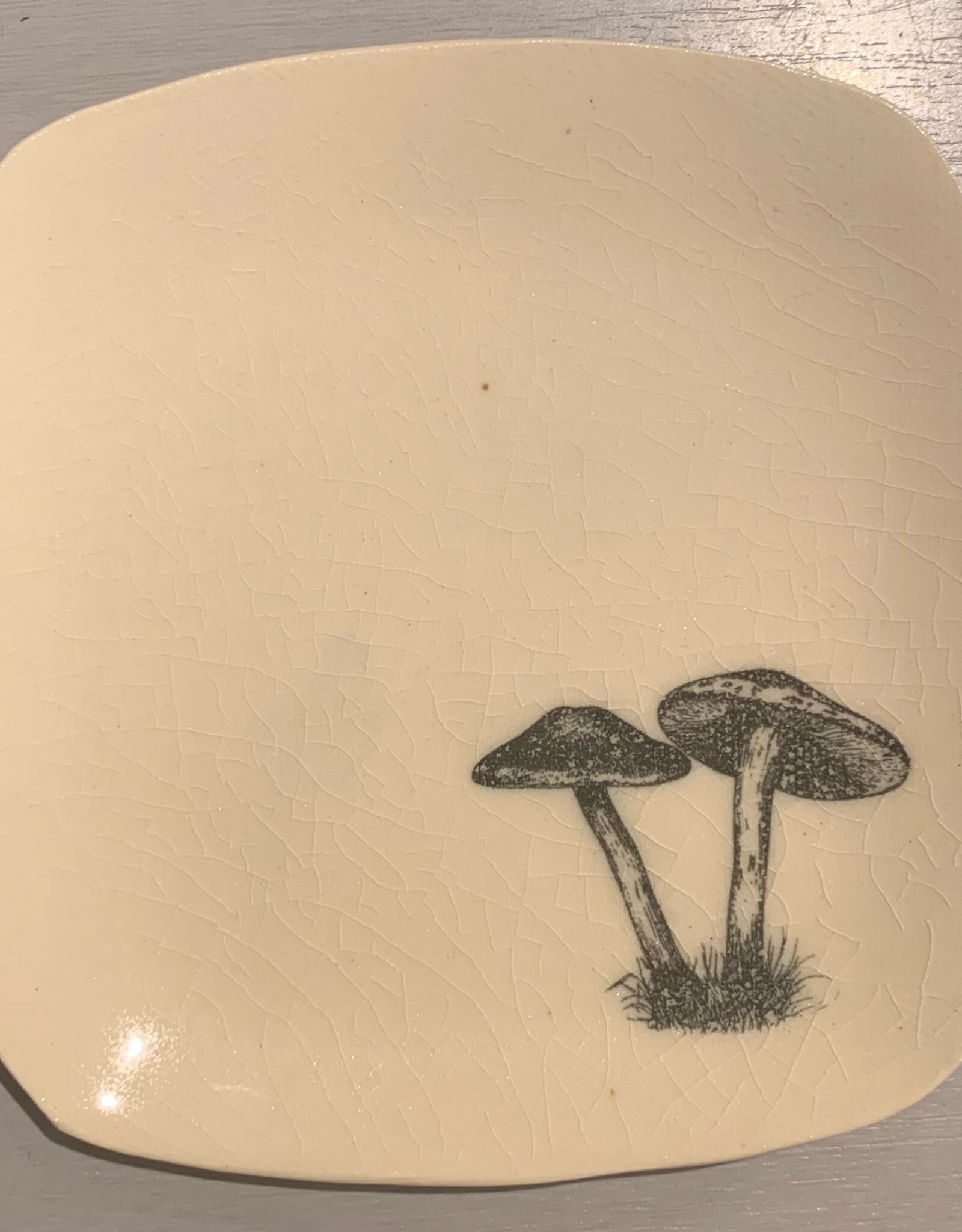 Rounded Square Dish | Mushroom | 5"
