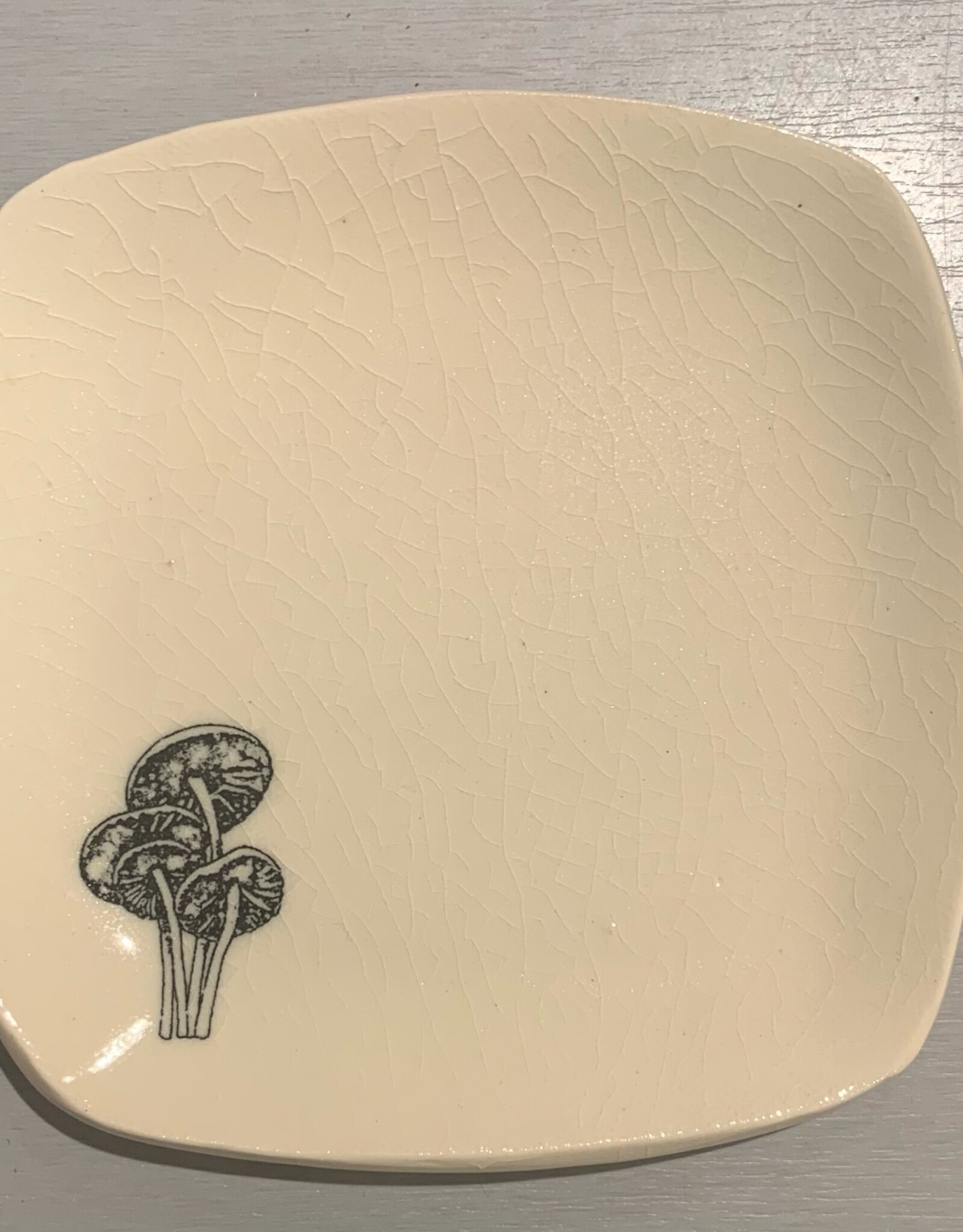 Rounded Square Dish | Mushroom | 5"