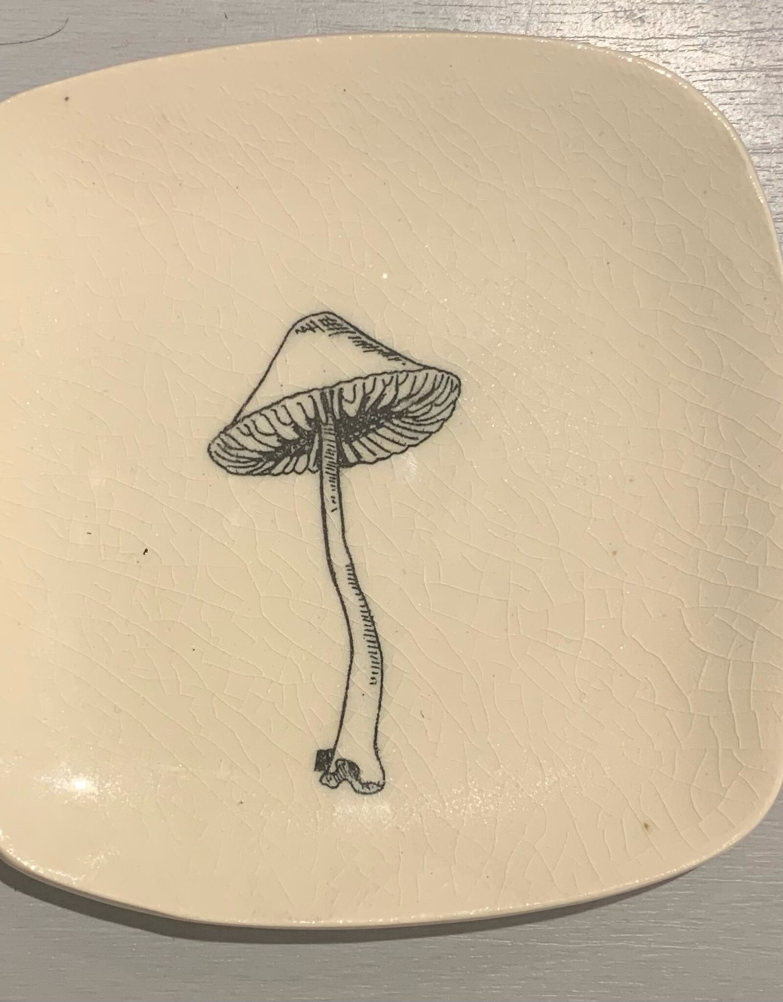 Rounded Square Dish | Mushroom | 5"