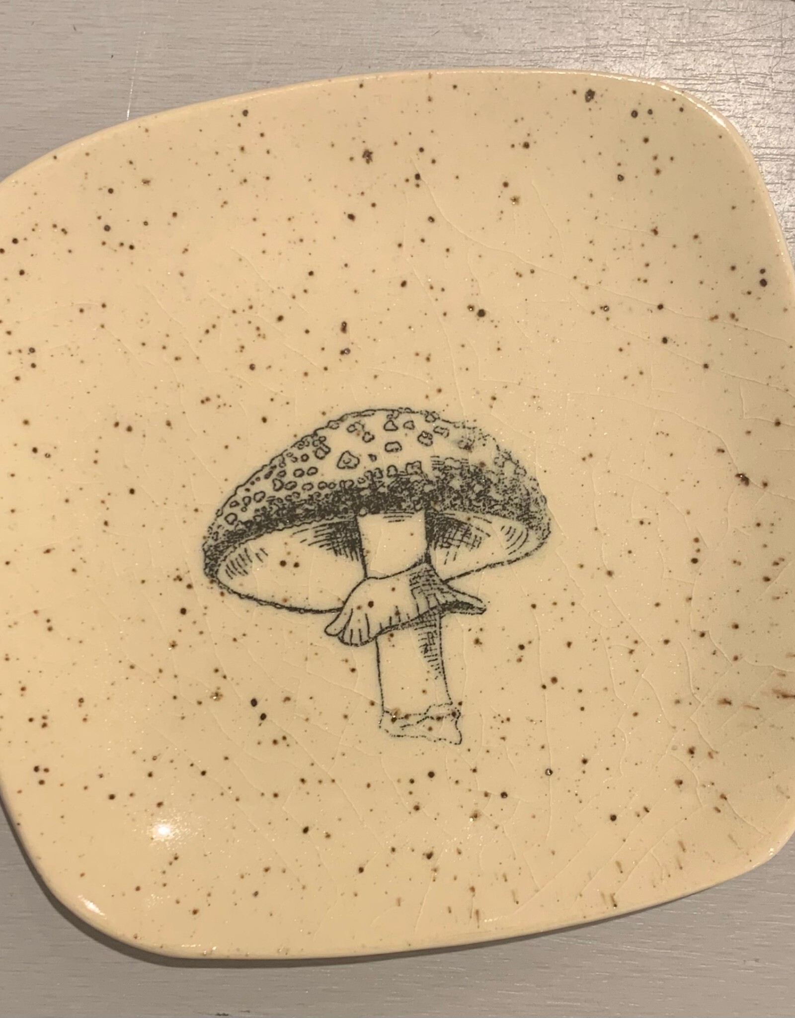 Rounded Square Dish | Mushroom | 5"