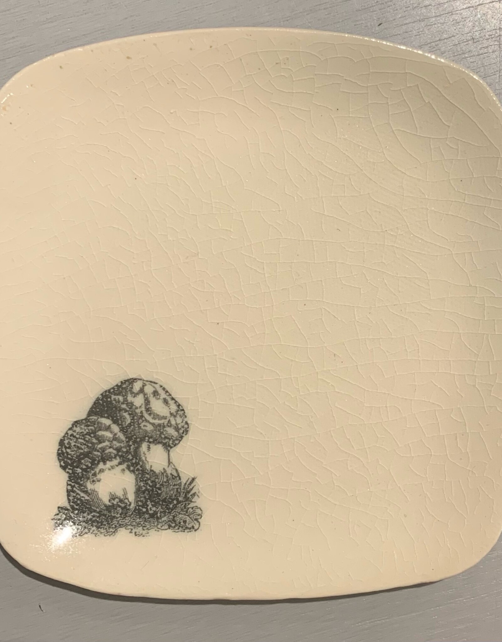 Rounded Square Dish | Mushroom | 5"