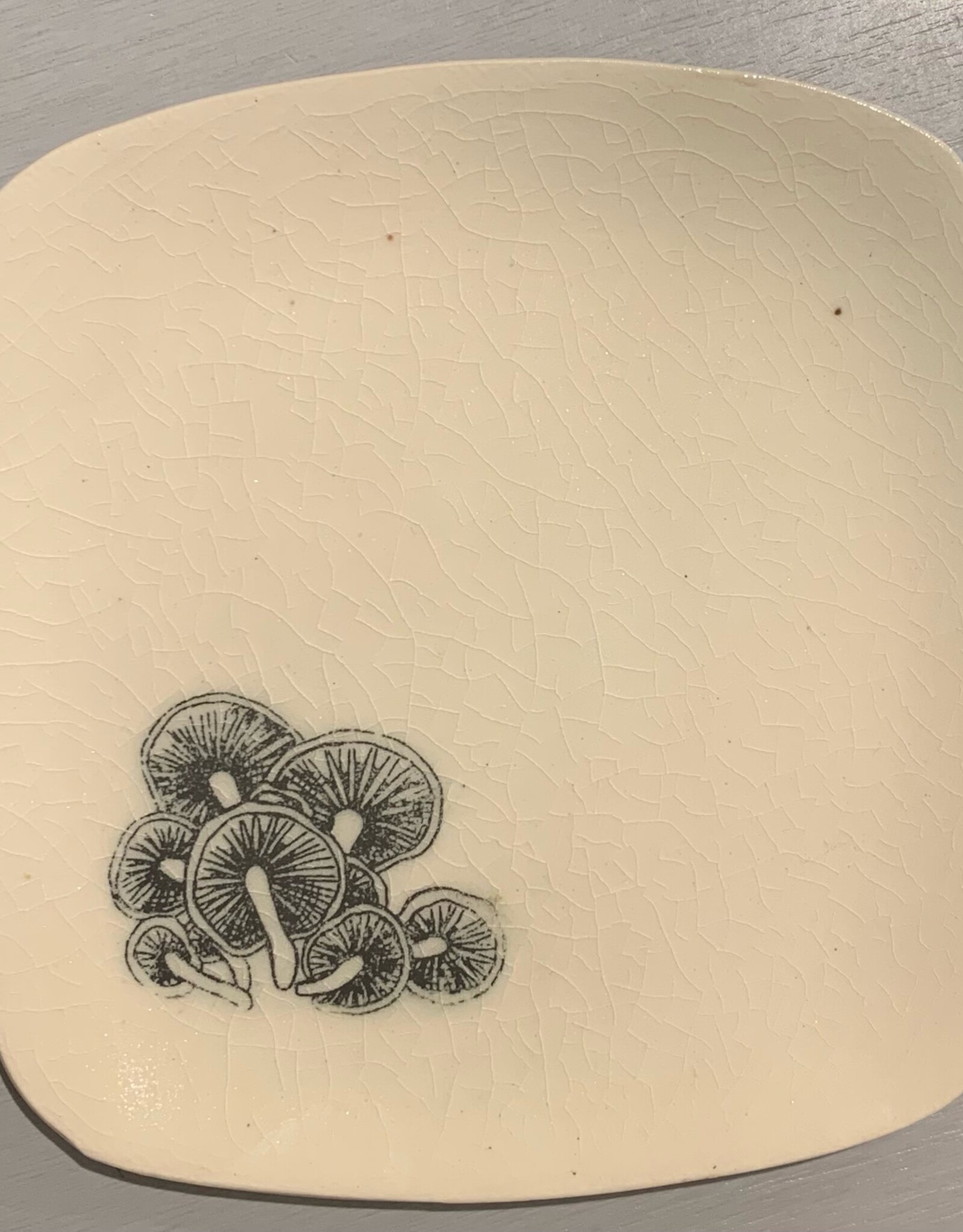 Rounded Square Dish | Mushroom | 5"