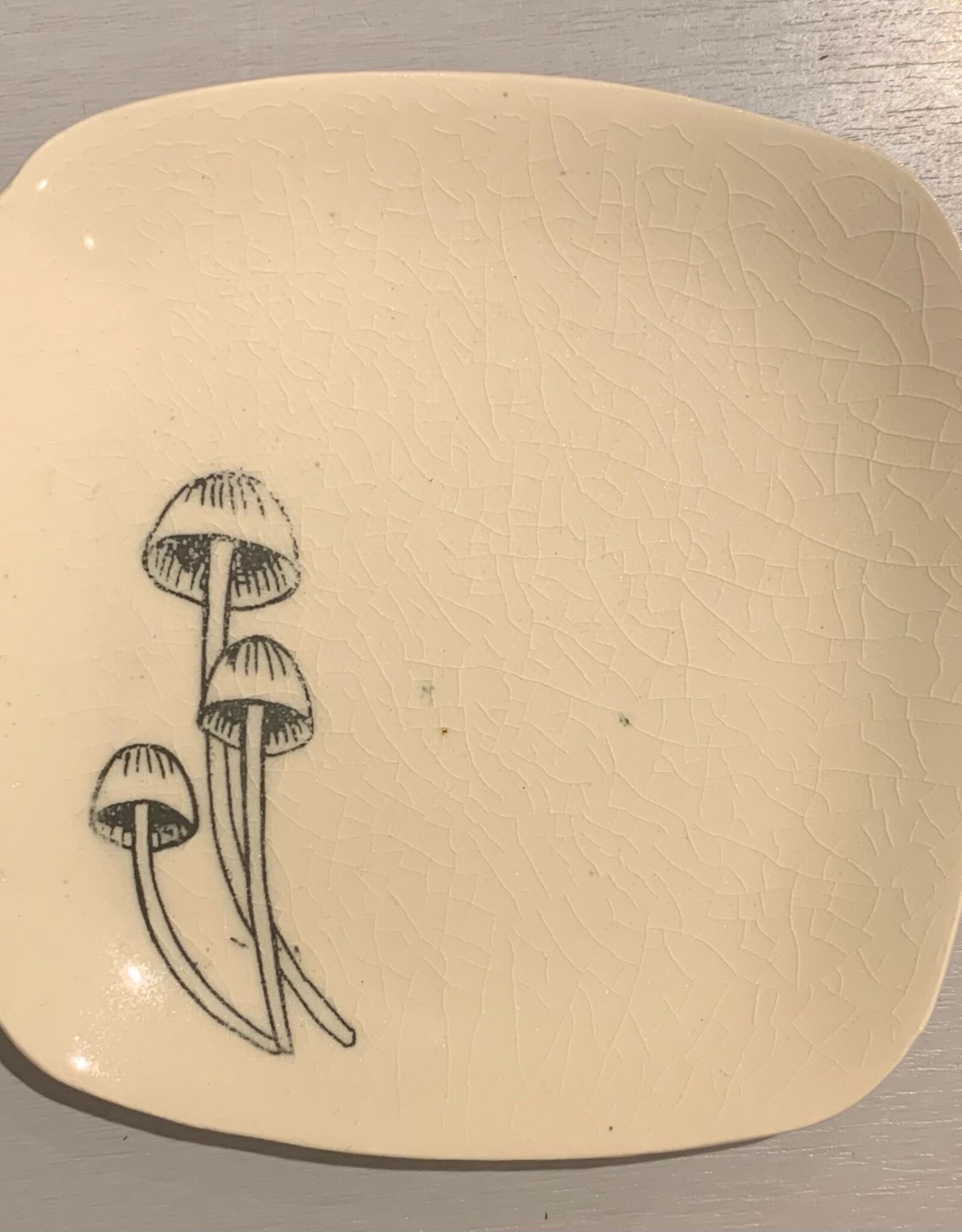 Rounded Square Dish | Mushroom | 5"