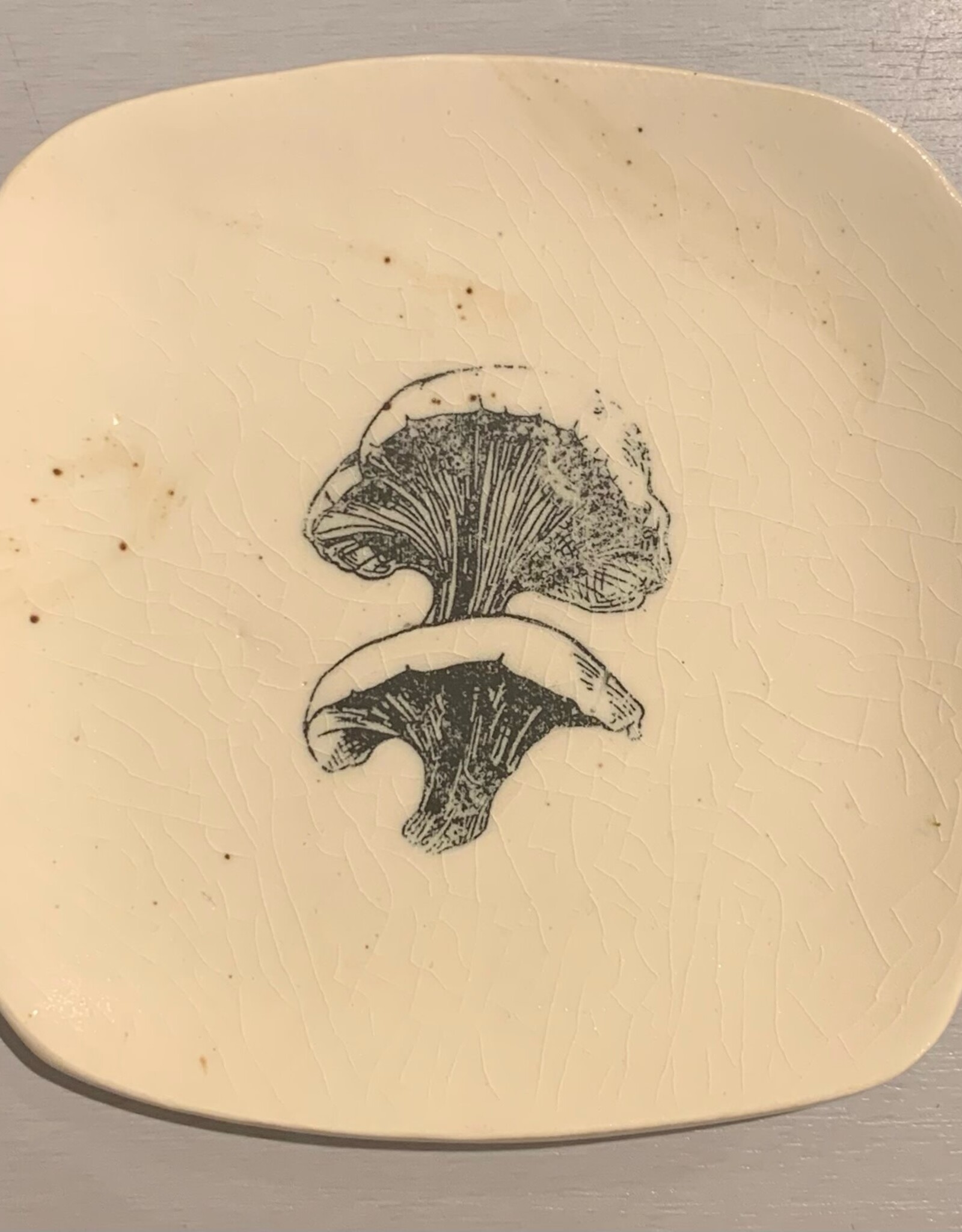 Rounded Square Dish | Mushroom | 5"