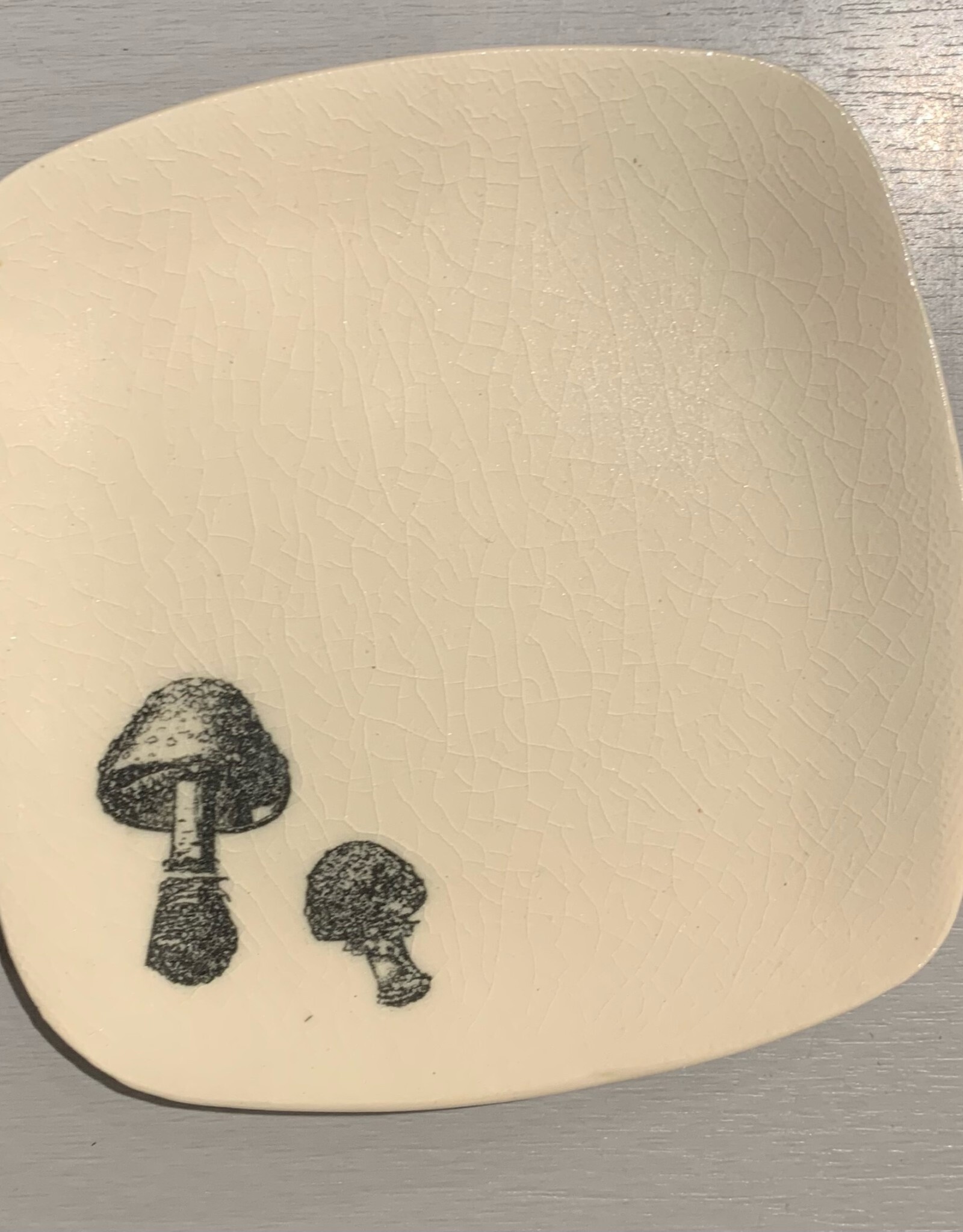 Rounded Square Dish | Mushroom | 5"
