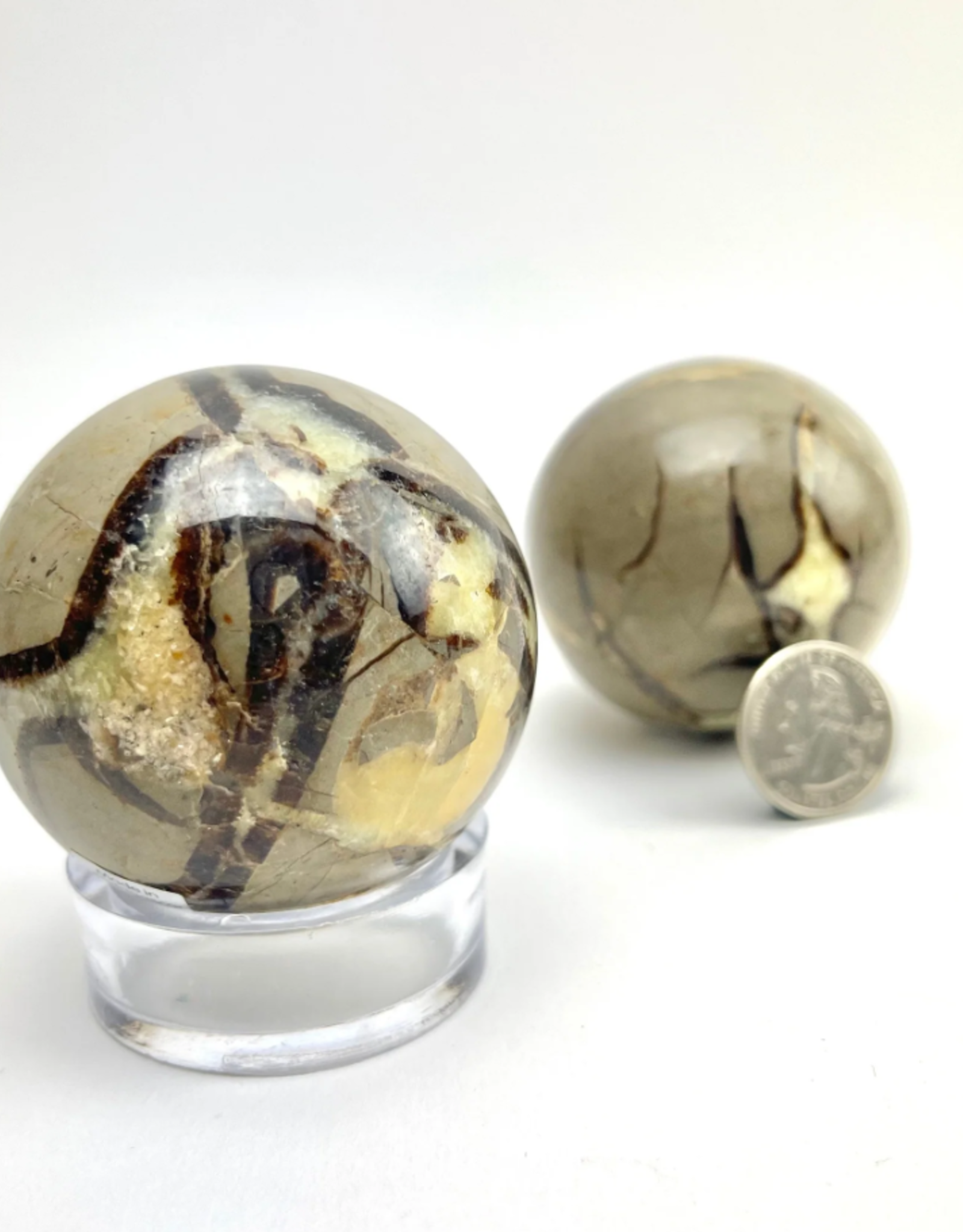 Septarian Sphere | 40-60MM | Madagascar