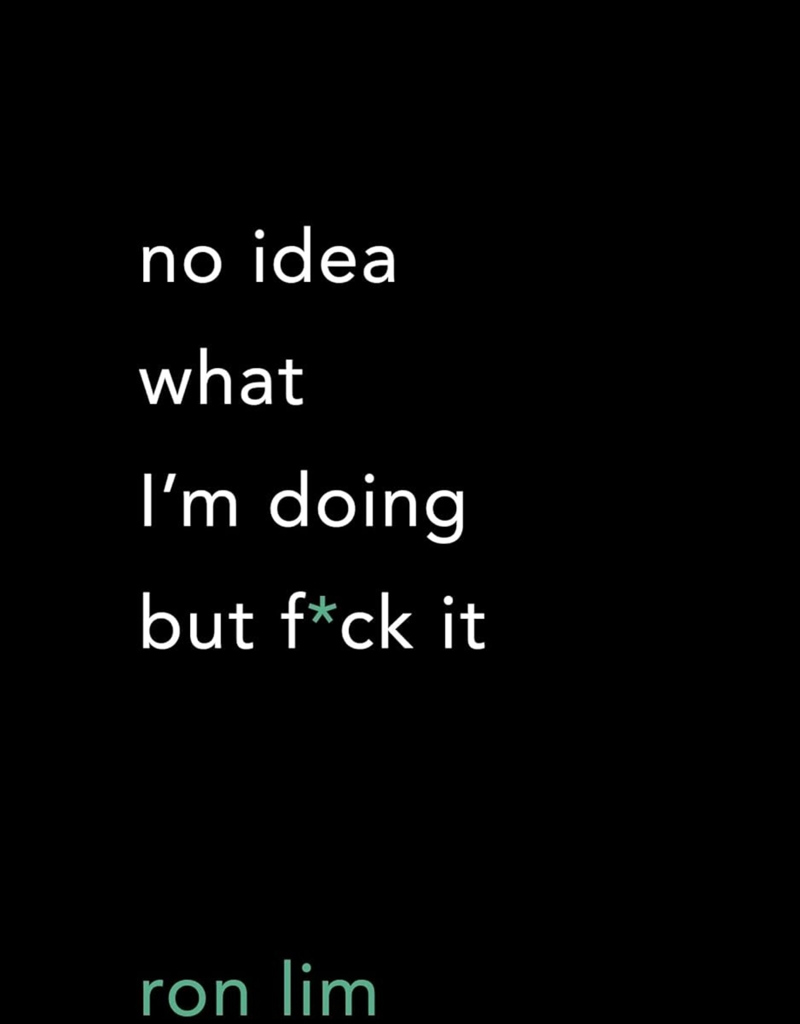 No Idea What I m Doing But  F*ck It