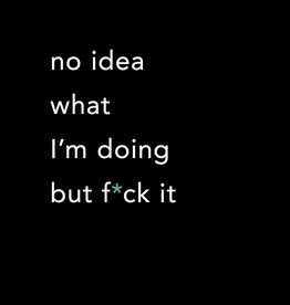 No Idea What I m Doing But  F*ck It