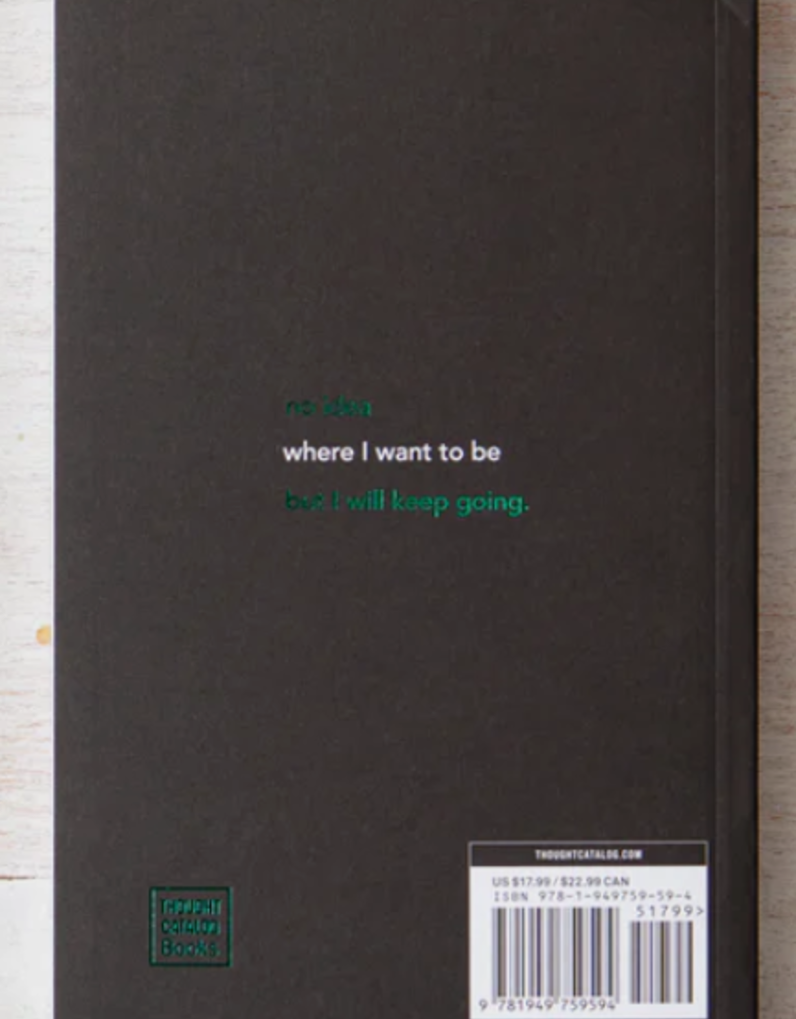 No Idea What I m Doing But  F*ck It