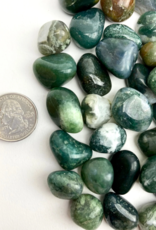 Moss Agate | Tumbled | 15-20mm | India