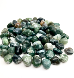 Moss Agate | Tumbled | 15-20mm | India