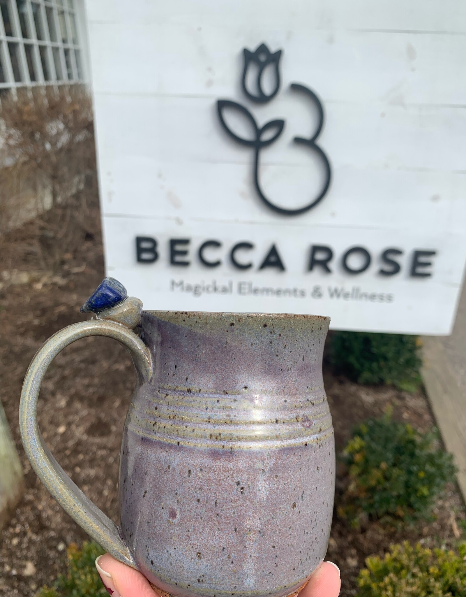 Crystal Healing Mug (Assorted)