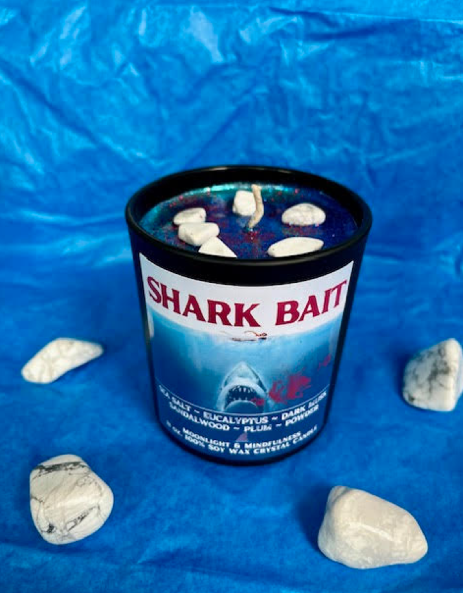 Shark Bait 11oz Candle (Fall)