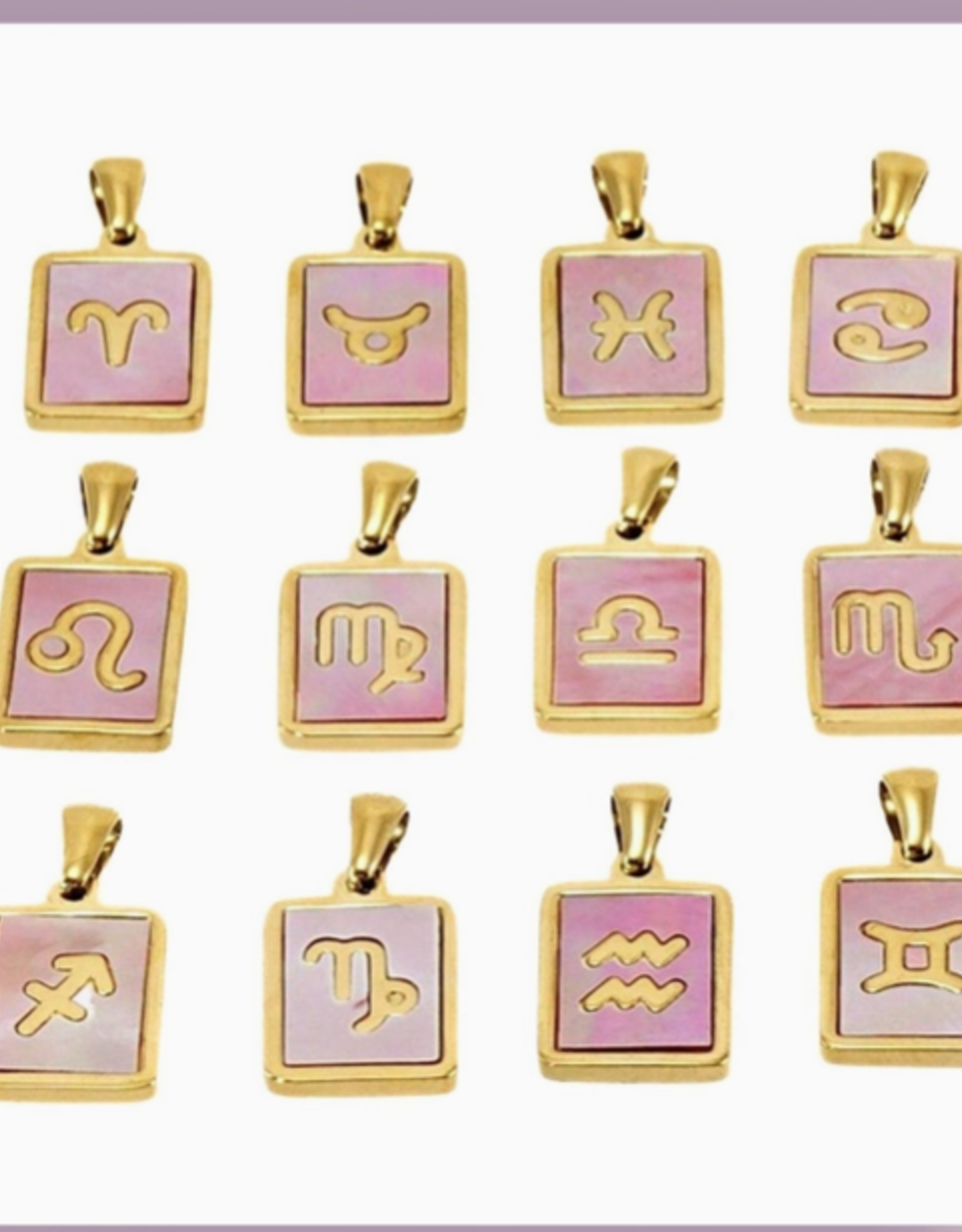 Zodiac Pink Shell Necklace |