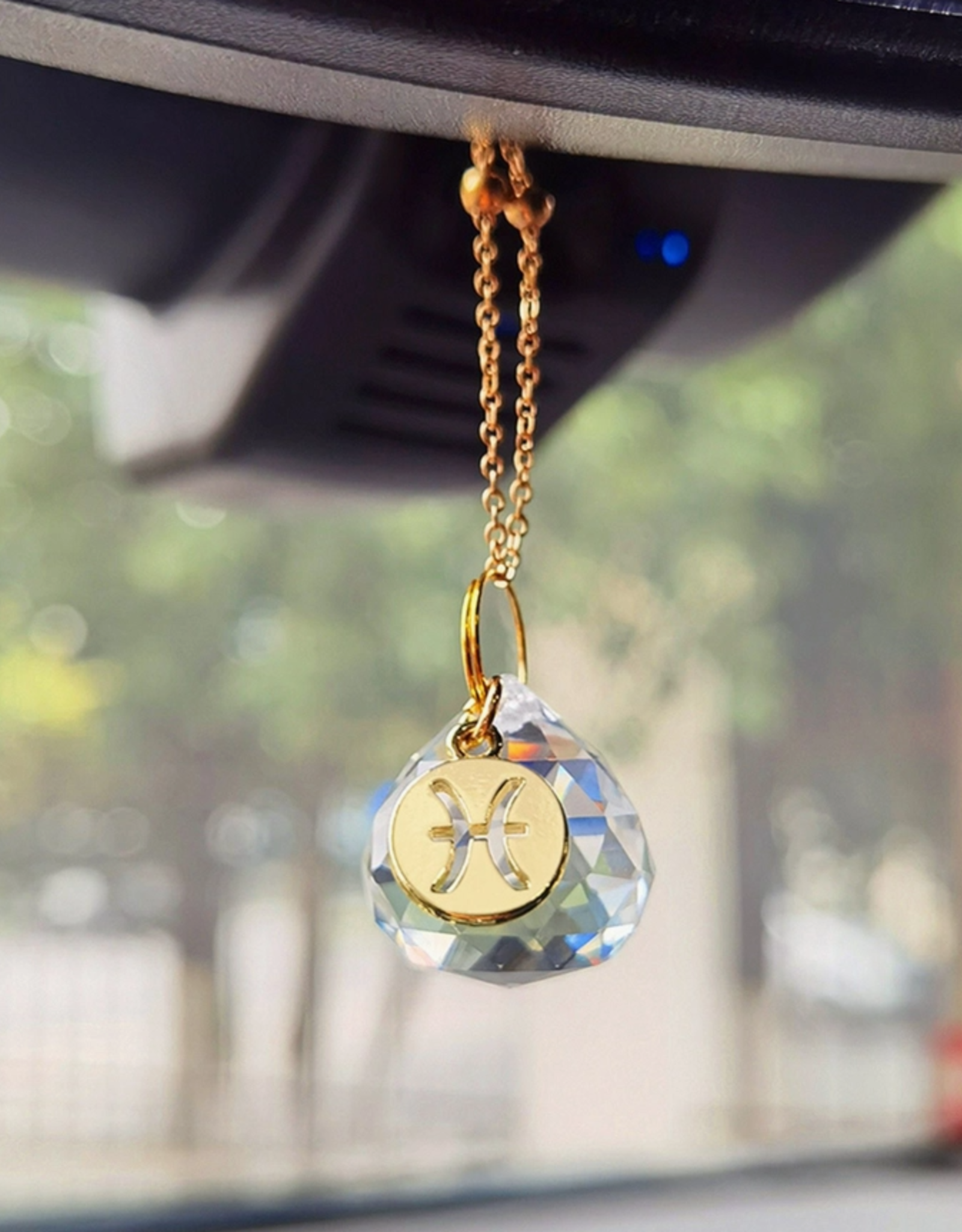 Zodiac Car Charm - Suncatcher: