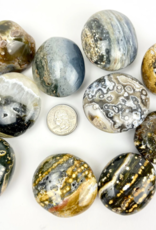 Ocean Jasper | "Orbicular" Jasper | Palmstones | 35-50mm | Madagascar