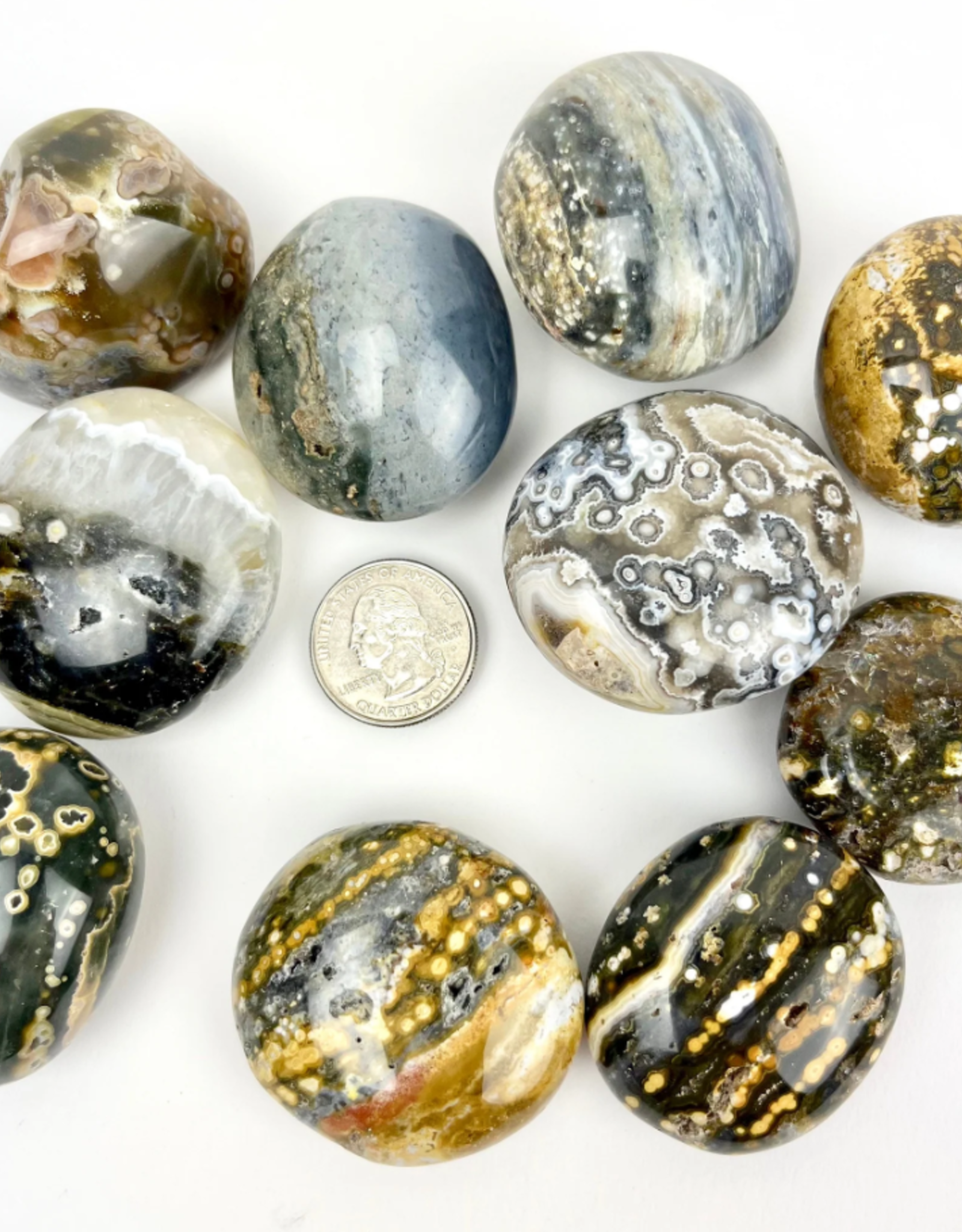 Ocean Jasper | "Orbicular" Jasper | Palmstones | 35-50mm | Madagascar