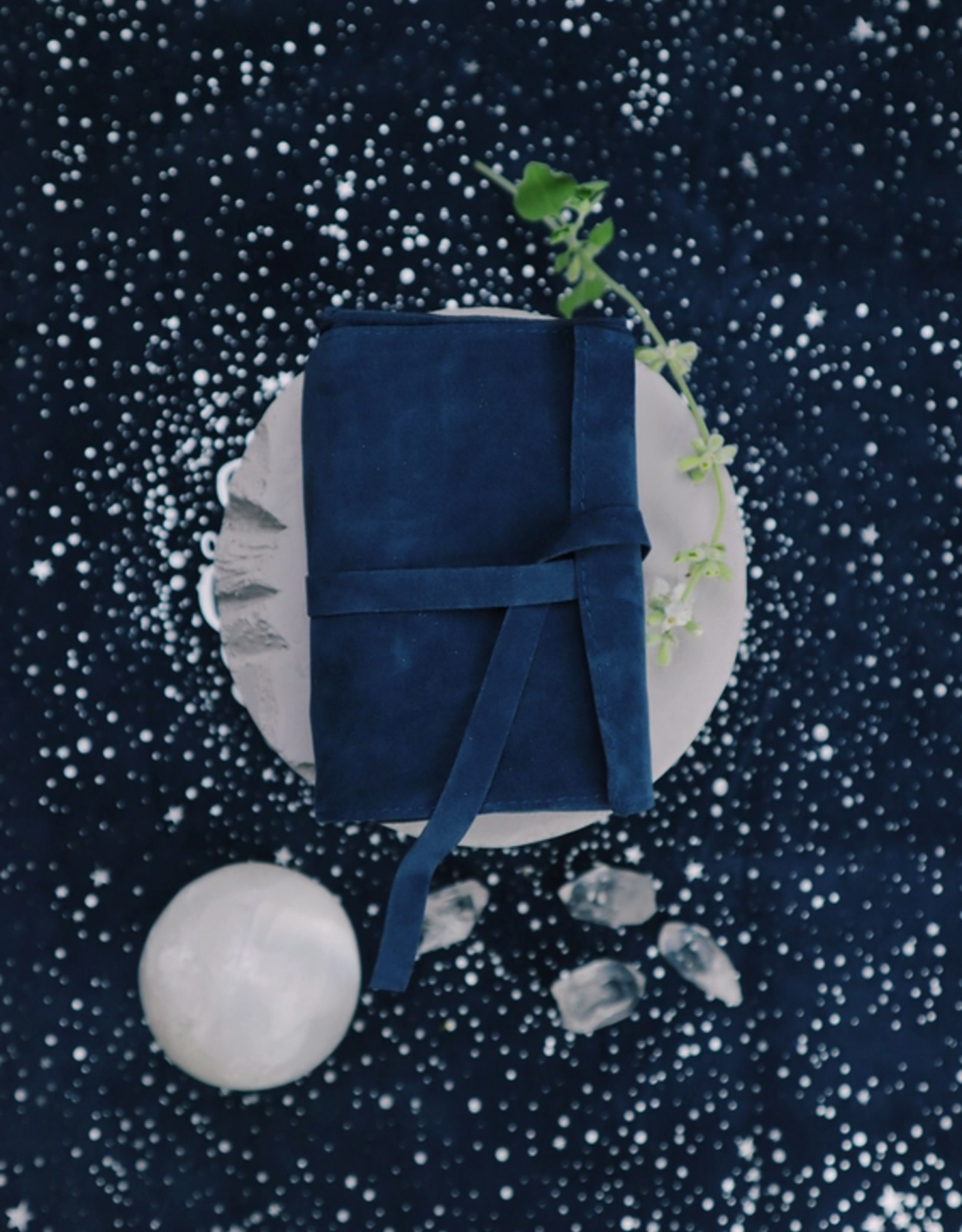 The Prisma Visions Satchel