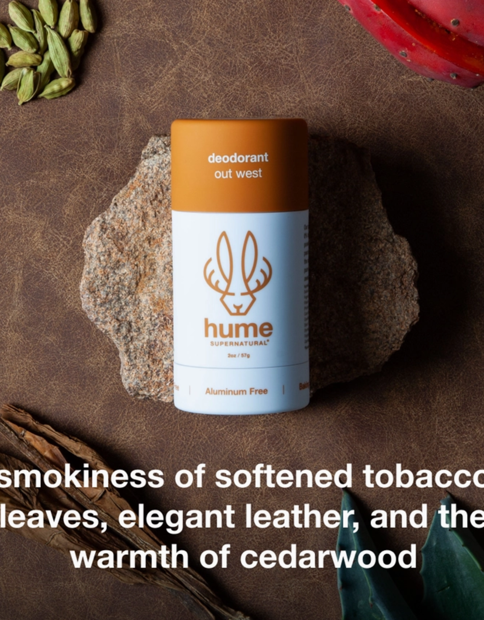 -Plant & Probiotic Deodorant |