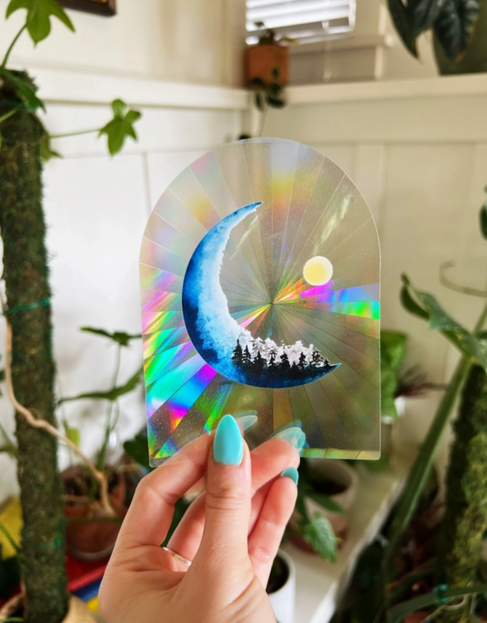 Forest On the Moon Suncatcher Decal