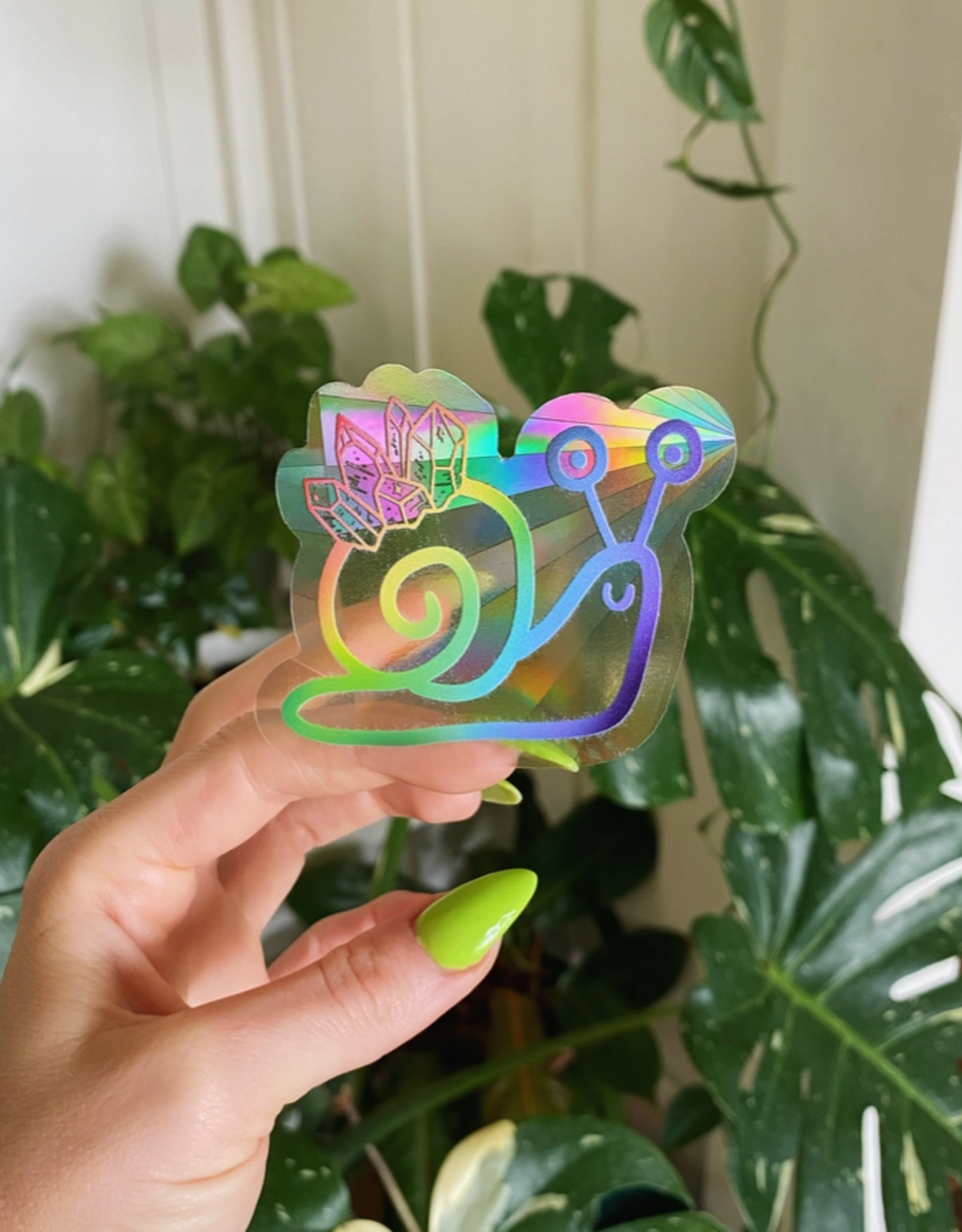 Snail Suncatcher Window Decal