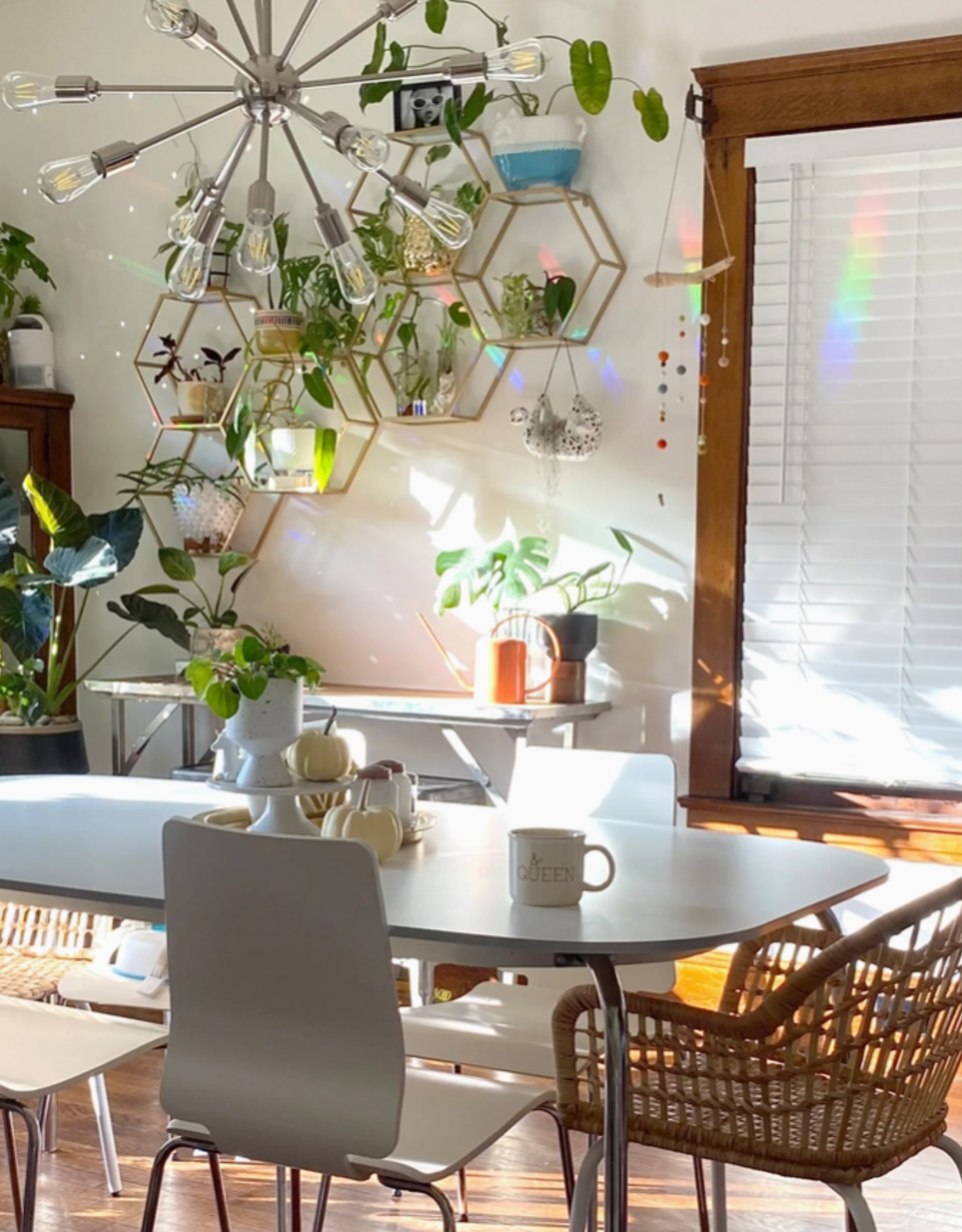 Rainbow Making Suncatcher | Flowers Shall Grow