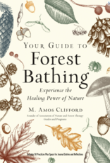 Your Guide to Forest Bathing (Expanded Edition)