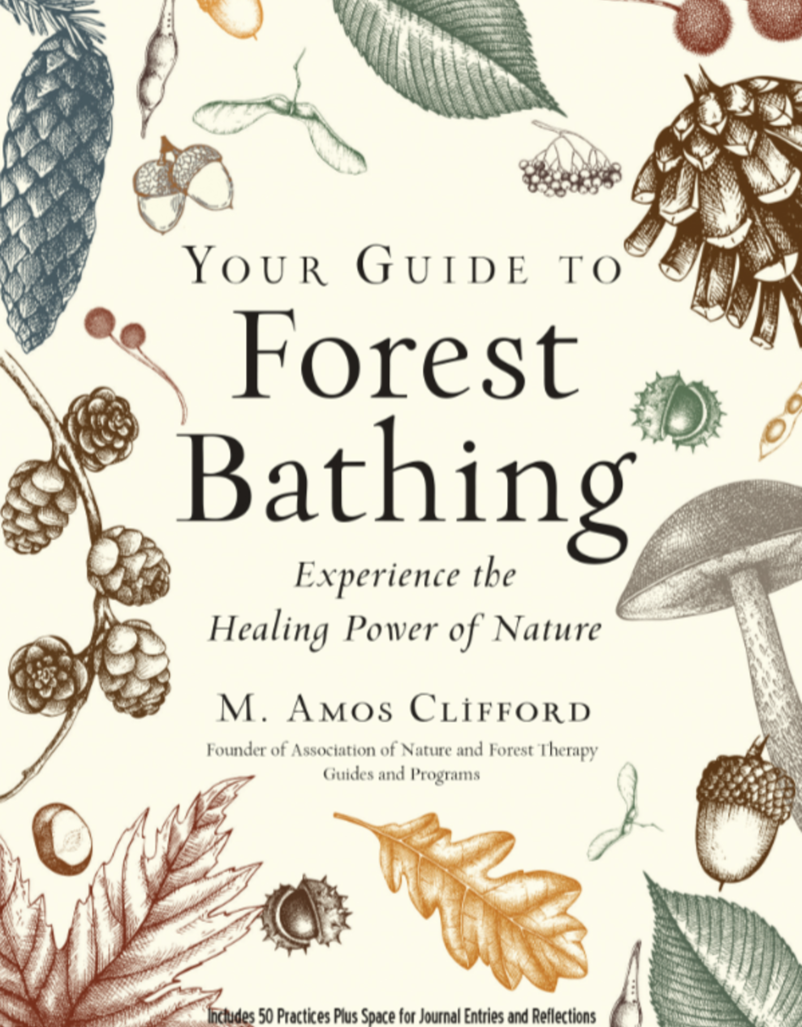Your Guide to Forest Bathing (Expanded Edition)