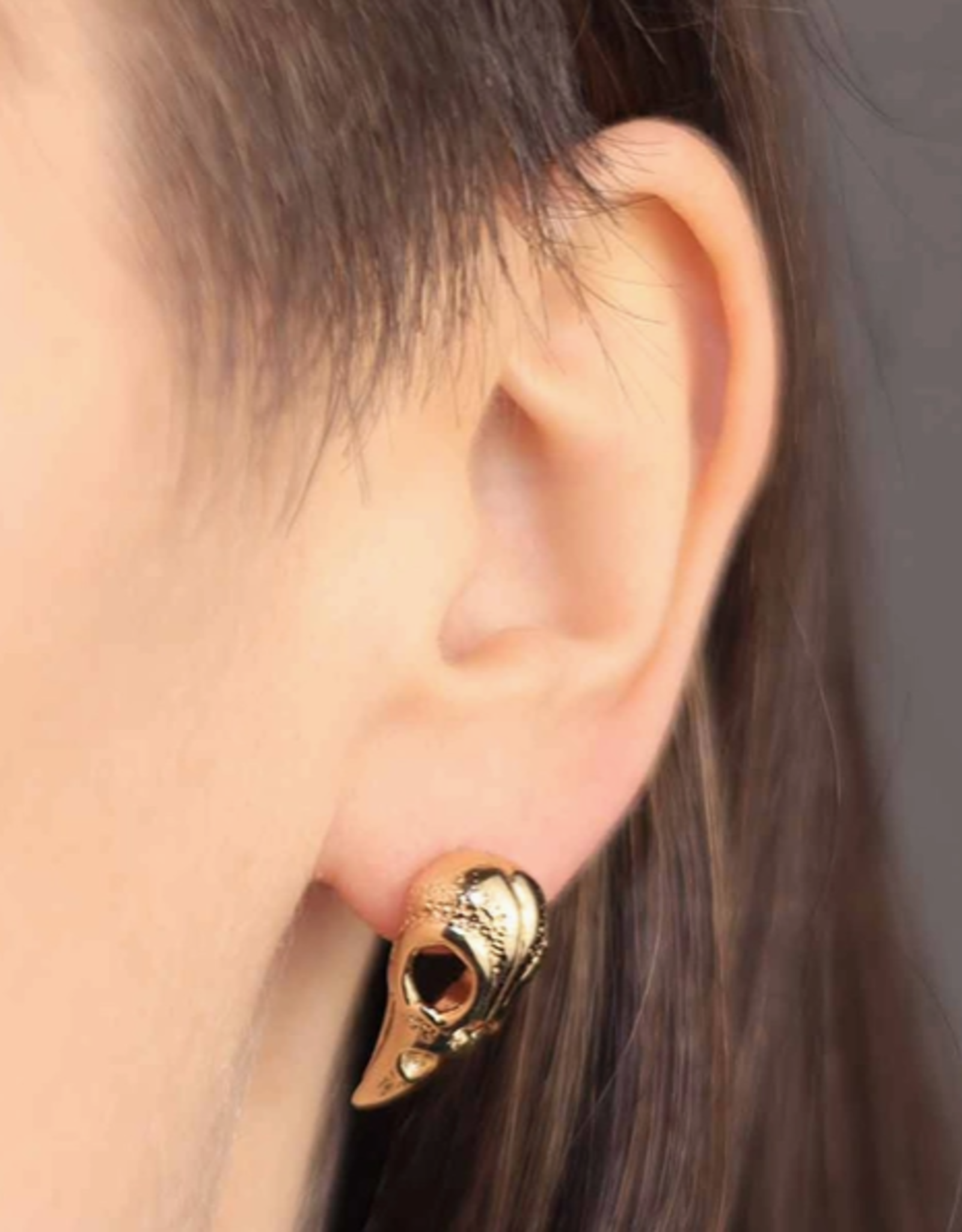 Raven Skull Post Earrings 21x11mm | Bronze