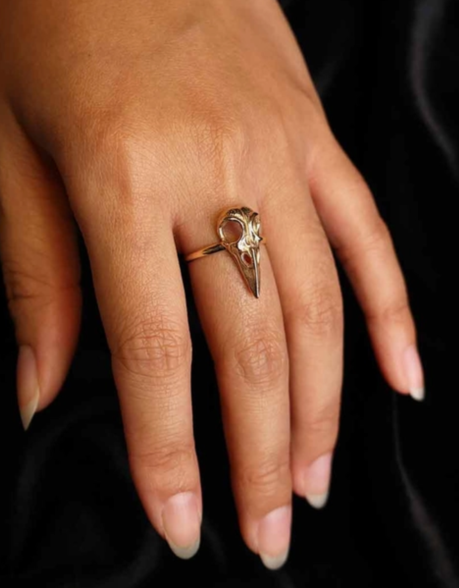 Raven Skull Ring | Bronze |