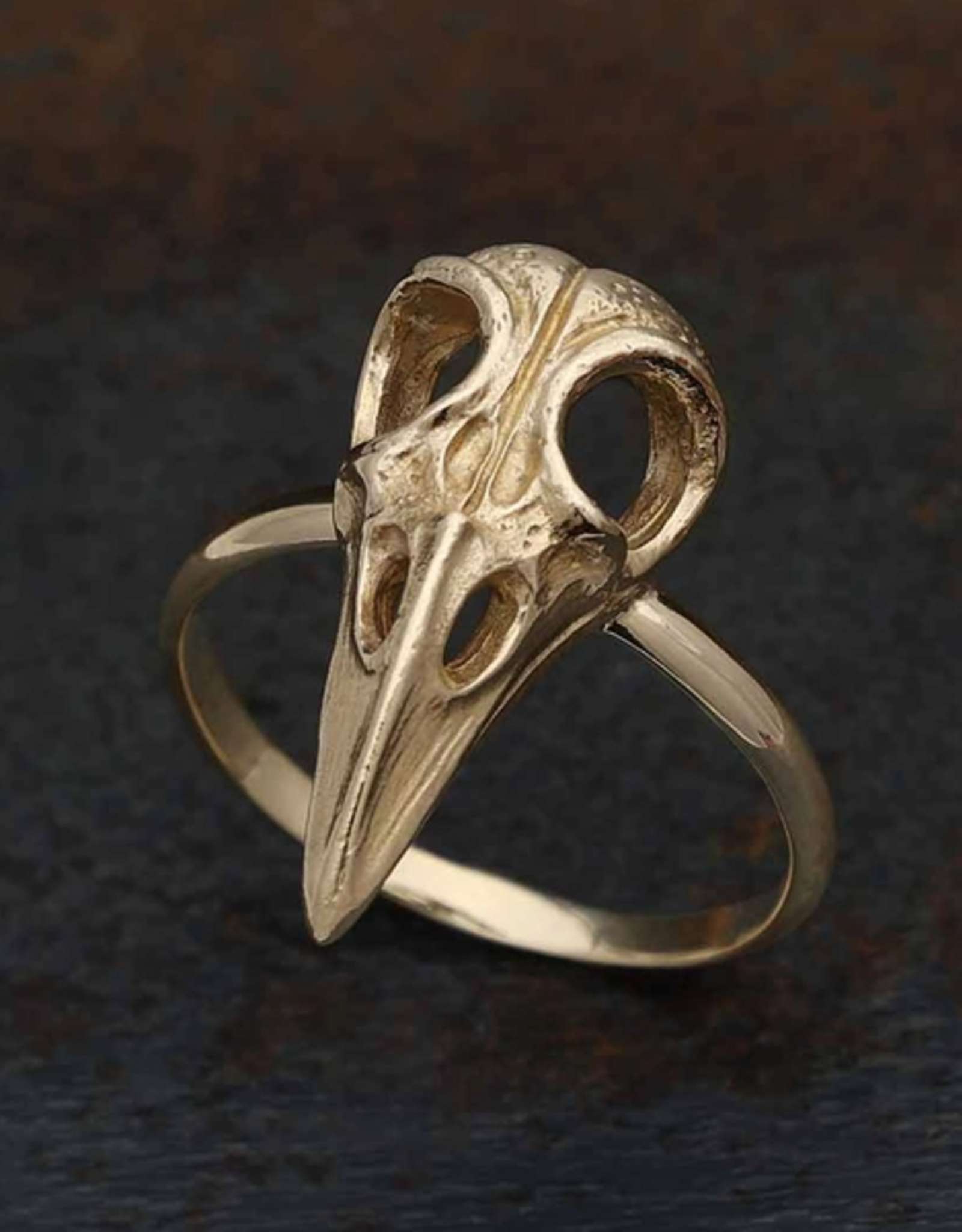 Raven Skull Ring | Bronze |