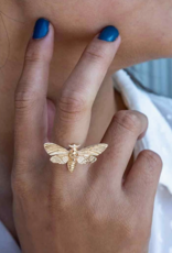 Realistic Deaths Head Moth Ring | Bronze |
