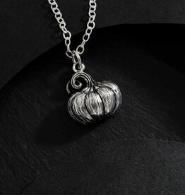 Sterling Silver 18 Inch Pumpkin Charm Necklace