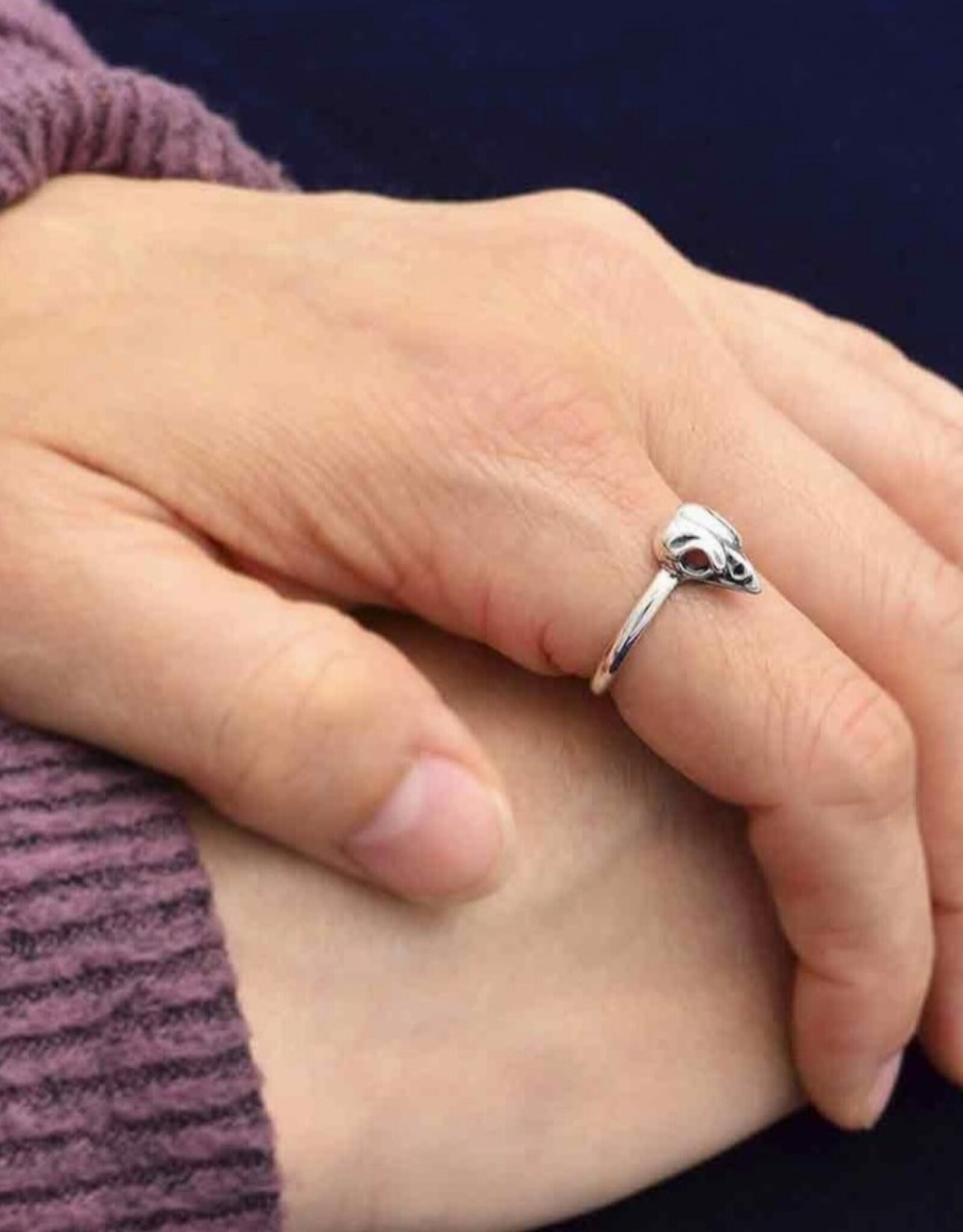 Sterling Silver Small Bird Skull Ring |