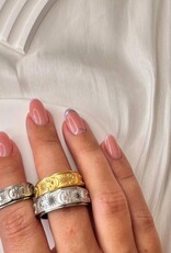 Celestial Fidget Spinning Ring | Silver |