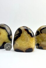 Septarian "Dragon Stone" | Freeform Statue |