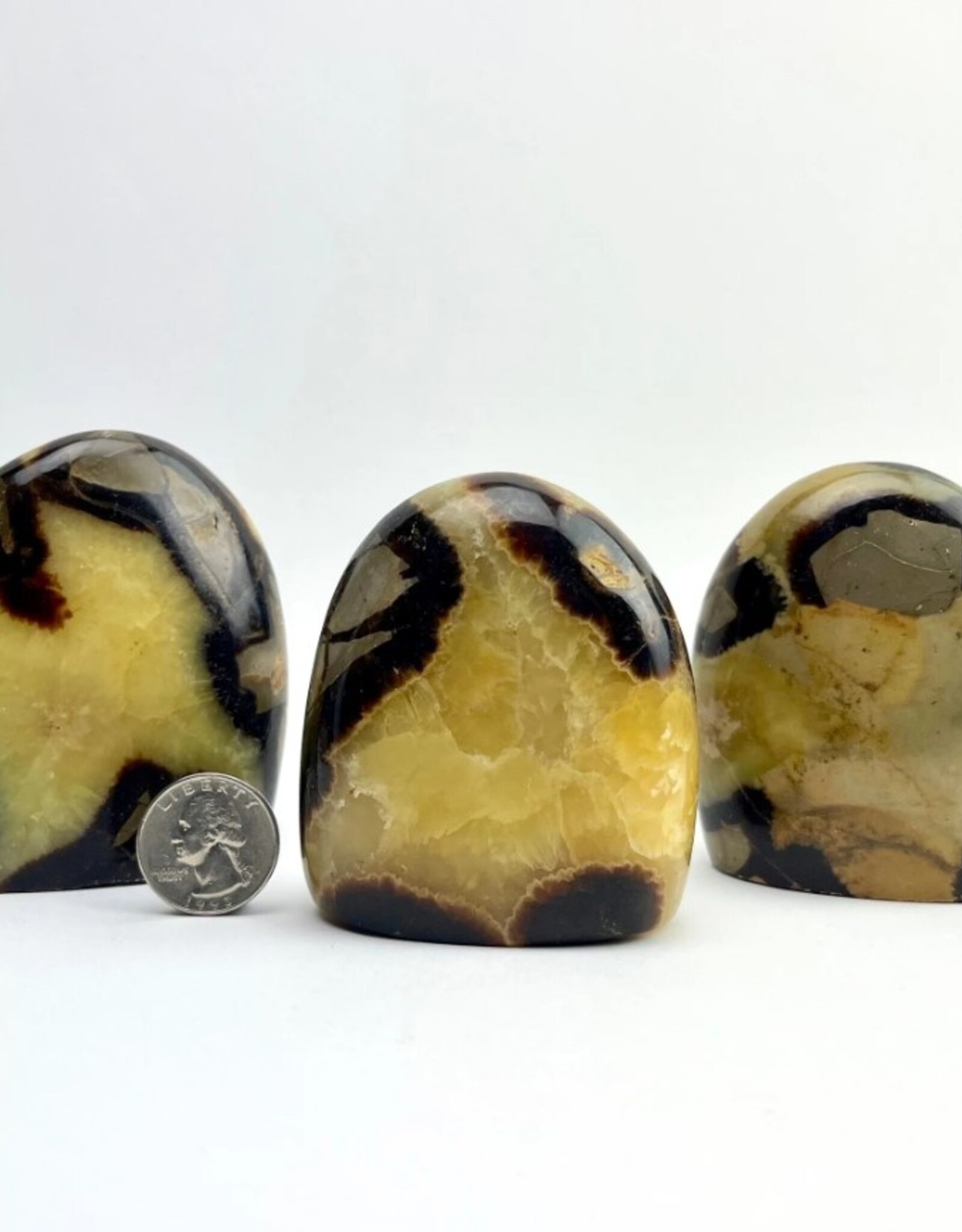 Septarian "Dragon Stone" | Freeform Statue |