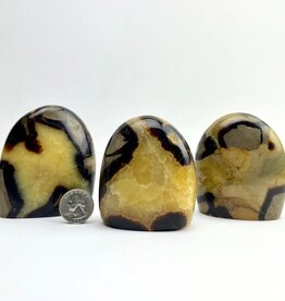 Septarian "Dragon Stone" | Freeform Statue |