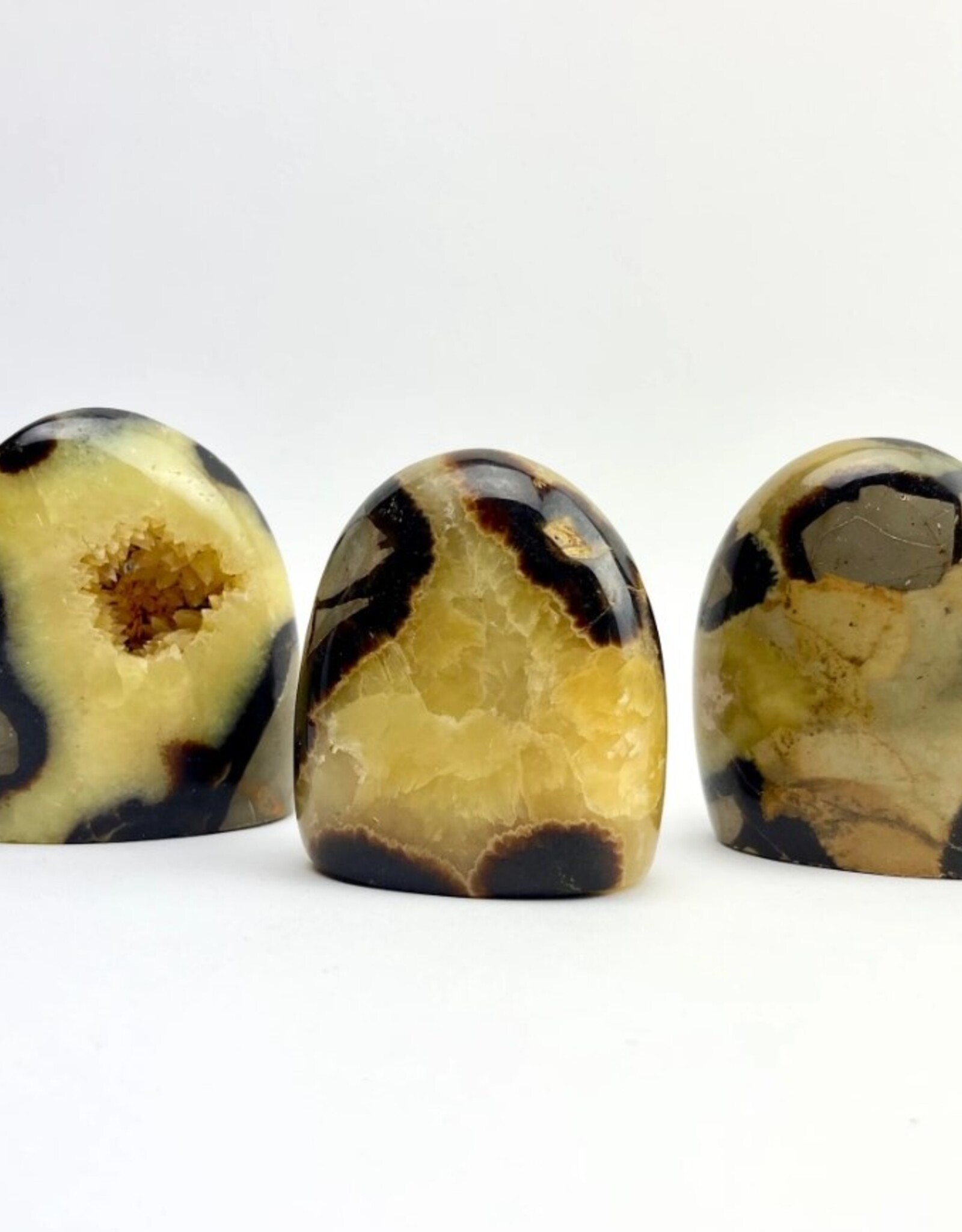 Septarian "Dragon Stone" | Freeform Statue |