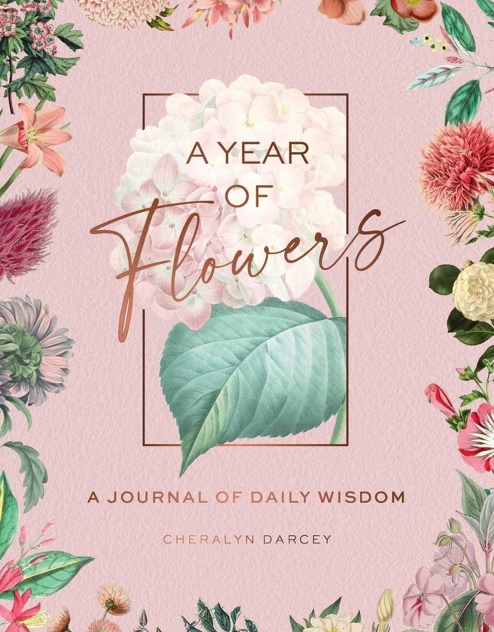 A Year of Flowers