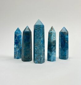 Blue Apatite | Standing Point Skinny |80-90mm