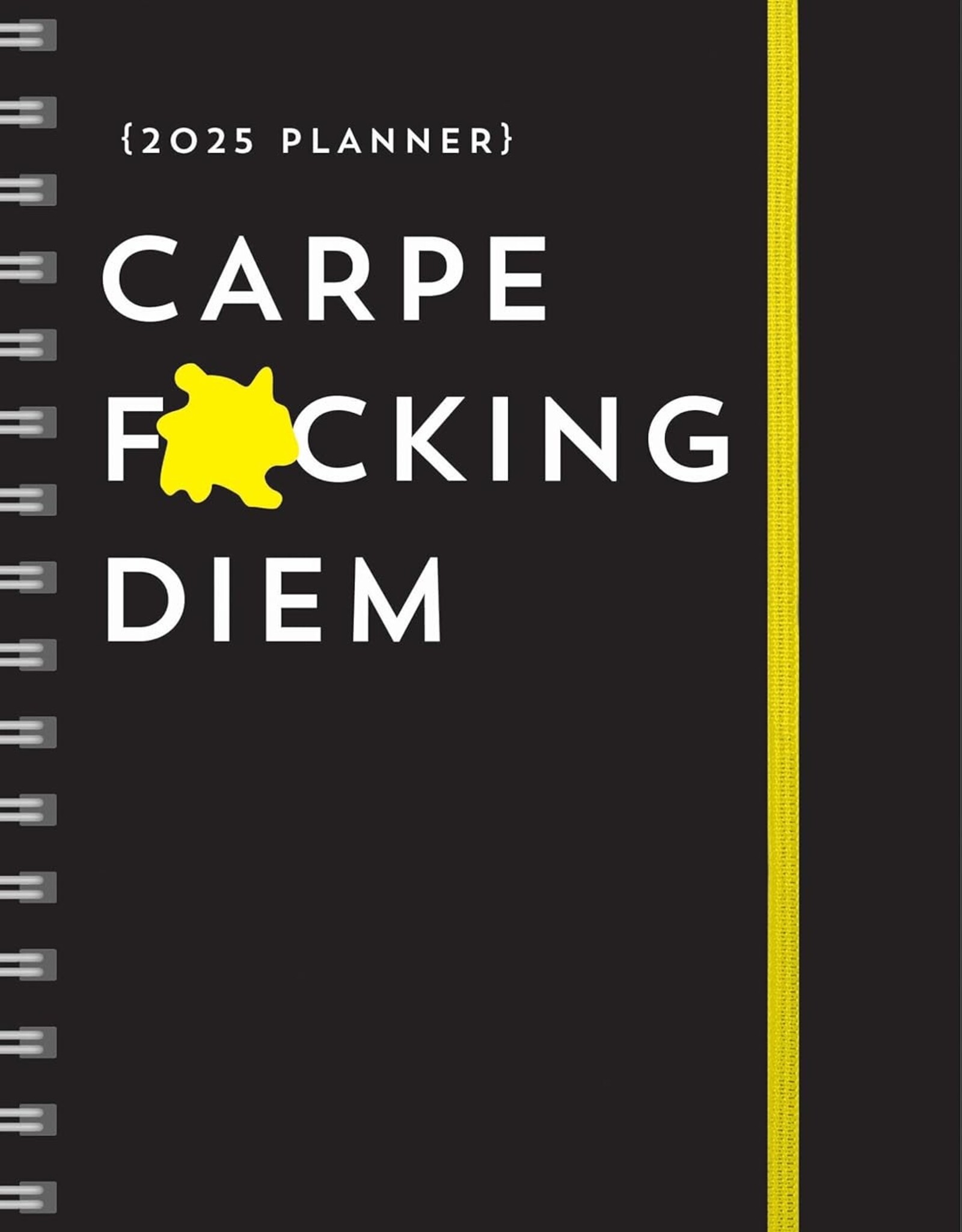 *2025 Carpe F*cking Diem Planner