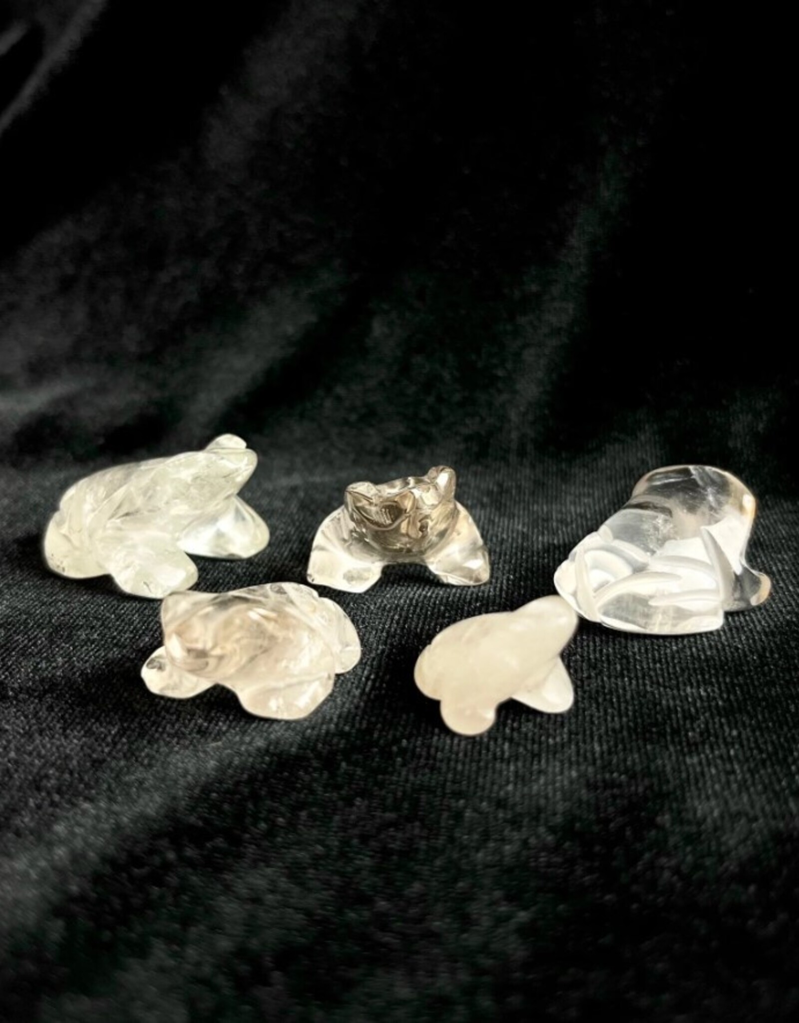 Clear Quartz Frog | 25-35mm | Brazil