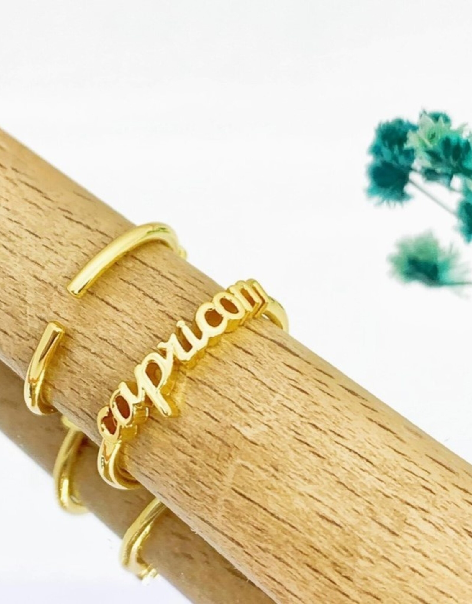 Zodiac Gold Rings |