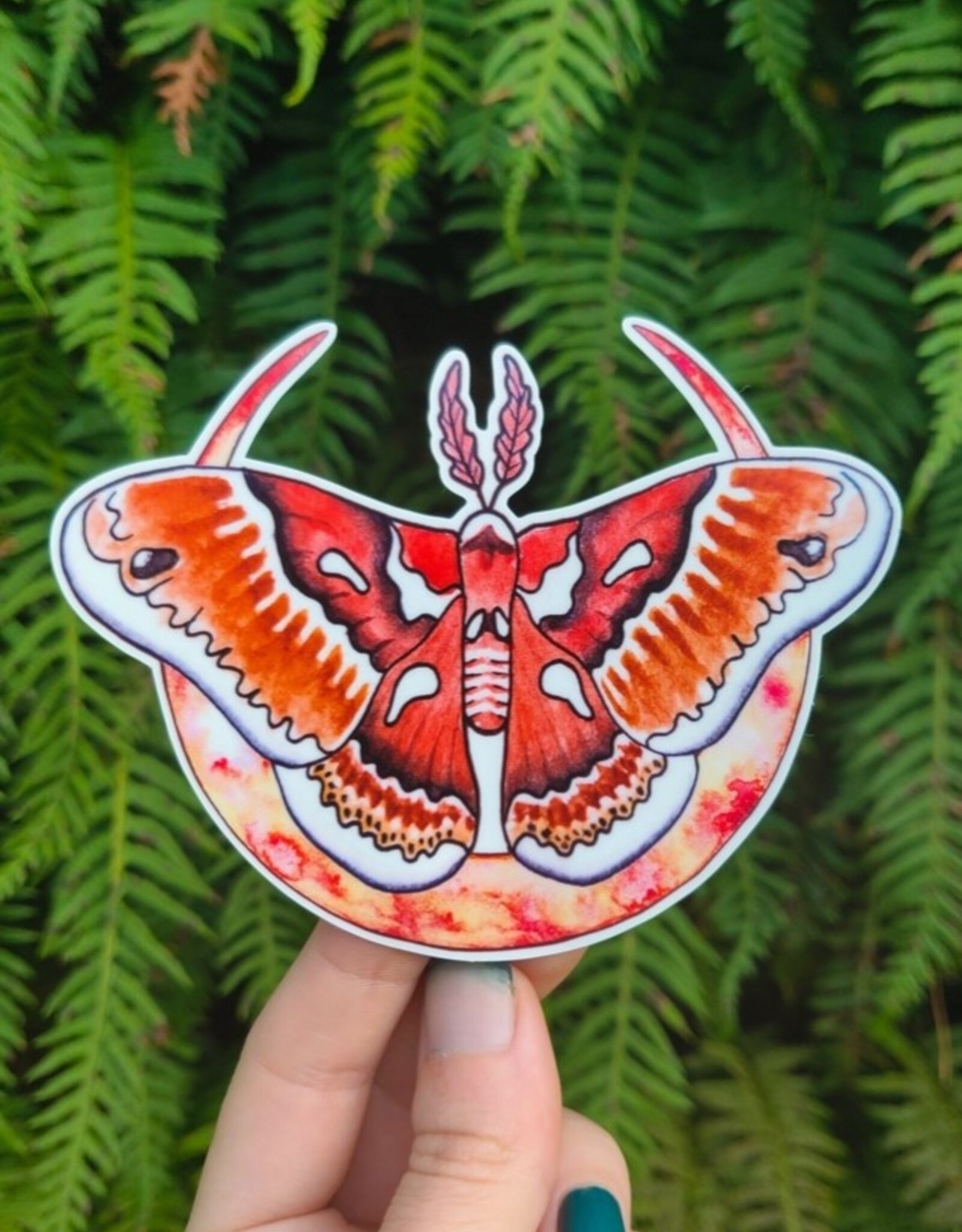 *Blood Moon - Sticker Art - Moth Forest Pnw Hiking Witch Rust