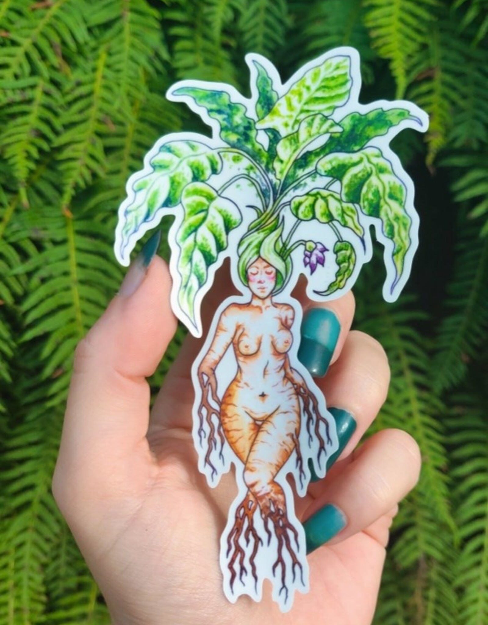 Mandrake - Sticker Art - Curvy Nature Goddess Pagan Witch