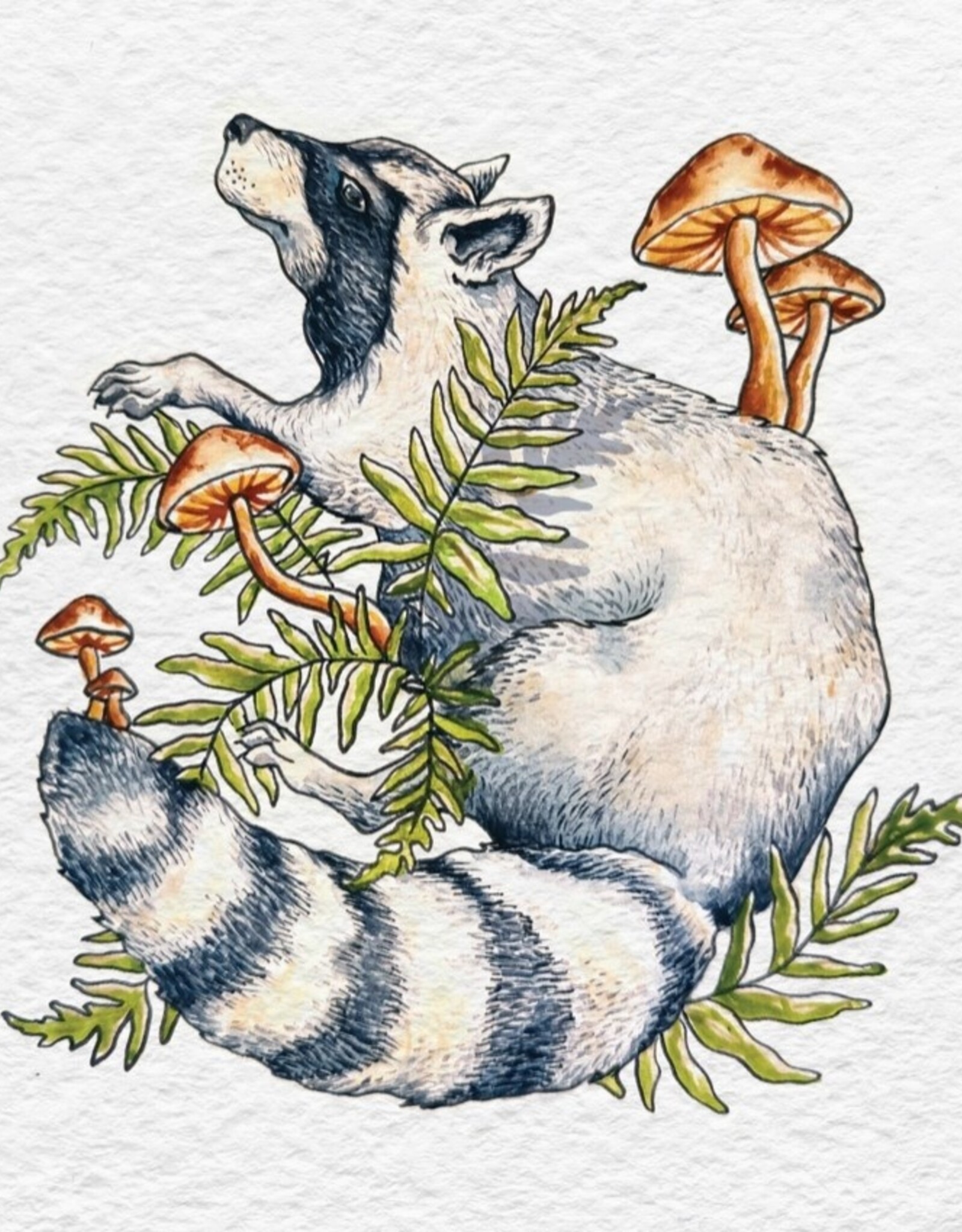 Raccoon Forager - Vinyl Sticker Art - Mushroom Forest Pnw